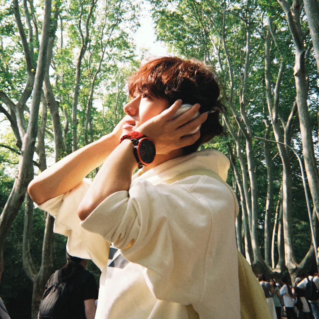 舞韵无声·河豚🐡