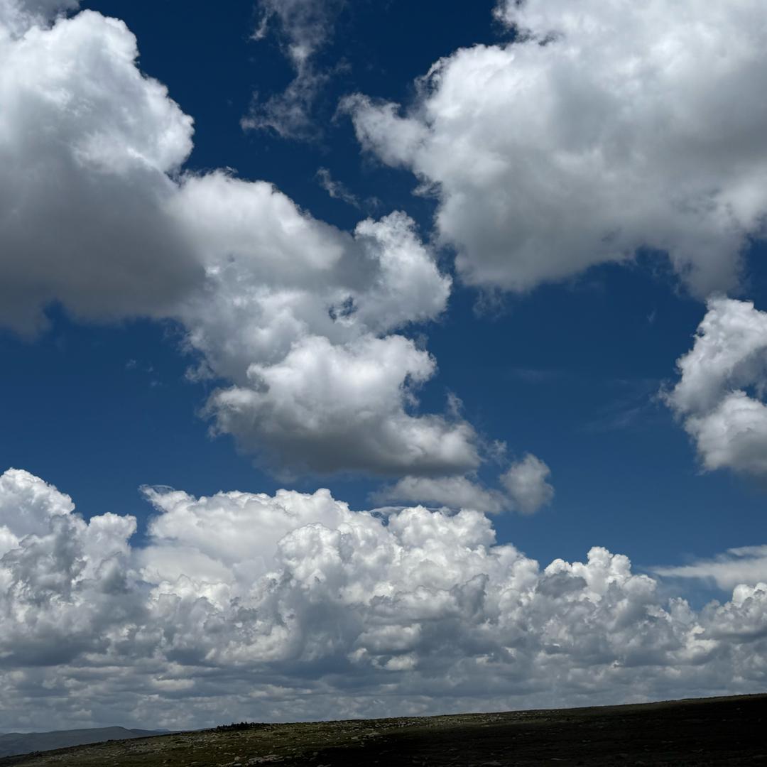 田哥哥🧍‍♂️