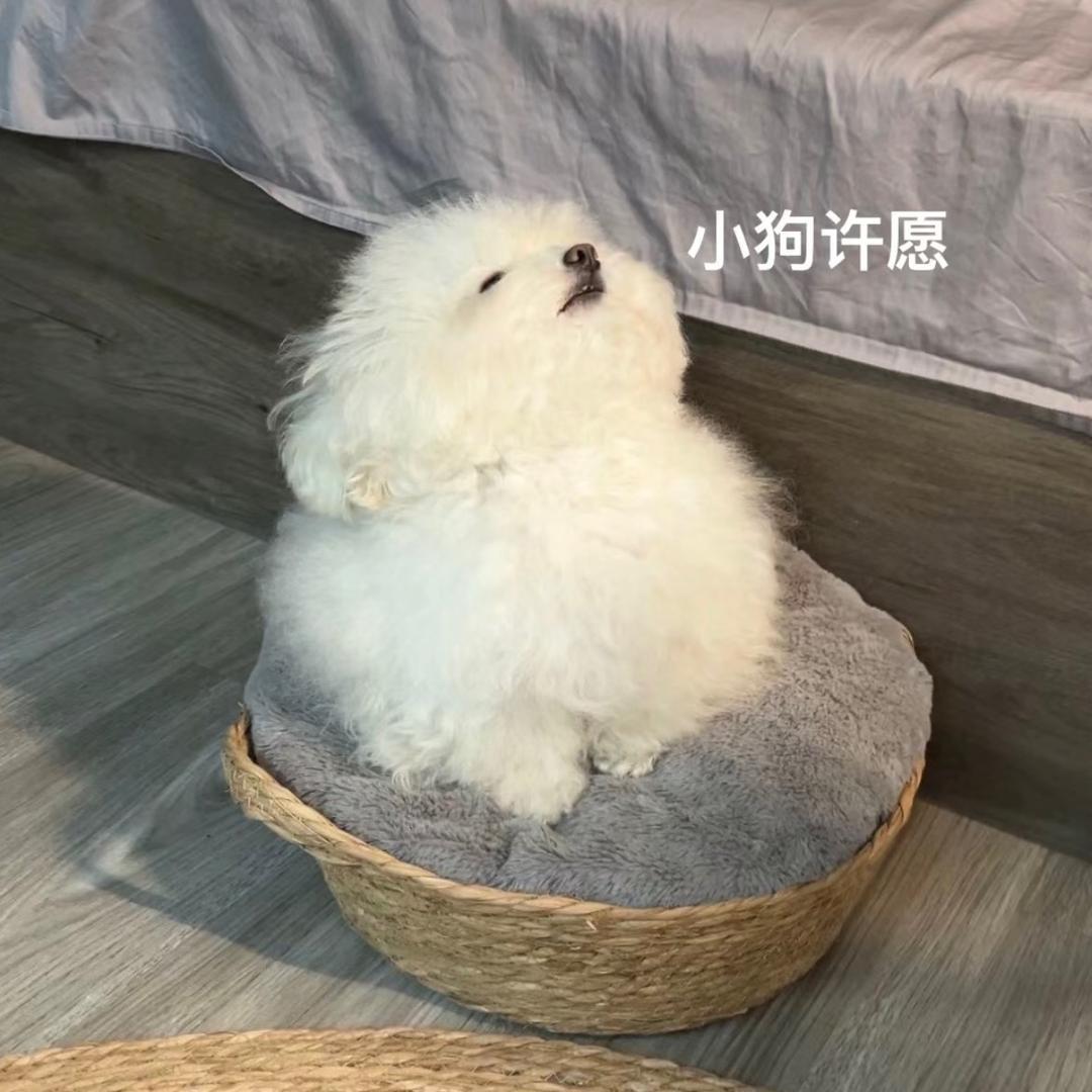 我睡醒就不困啦