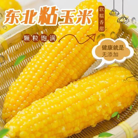 五虎食品