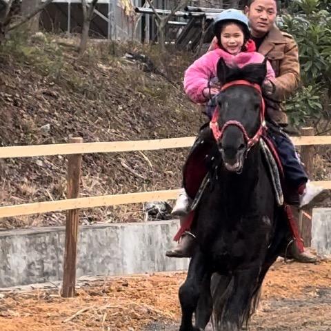 禄禄
