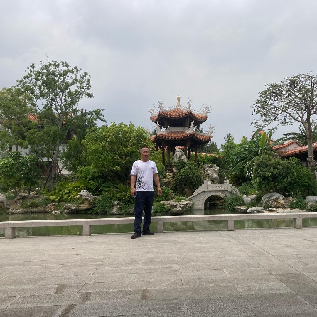🌿王事随风🇨🇳
