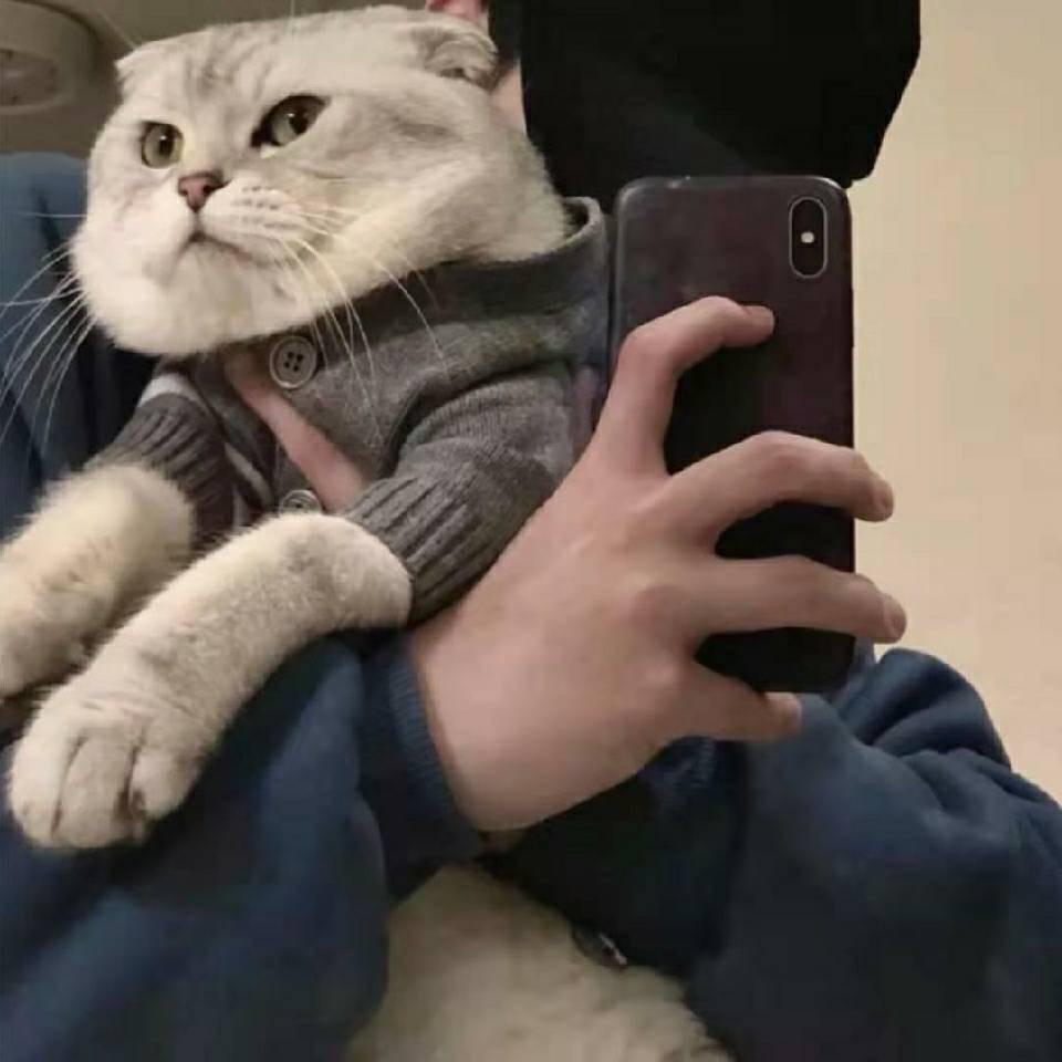 Ss
