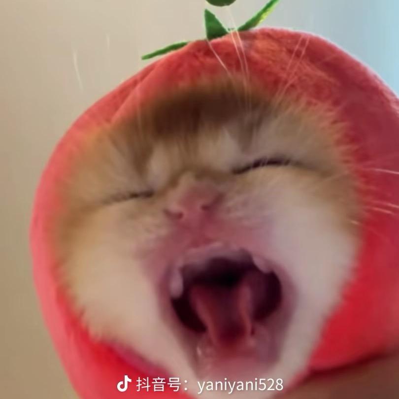 🍉，