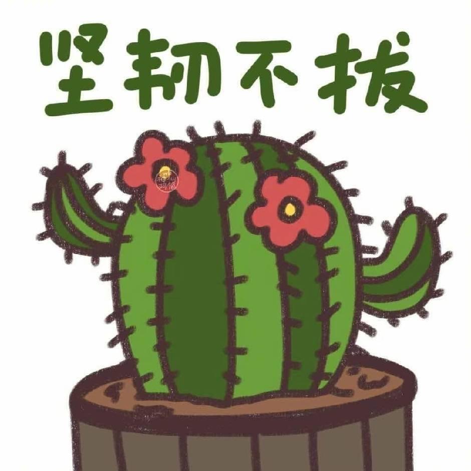 十三missblack