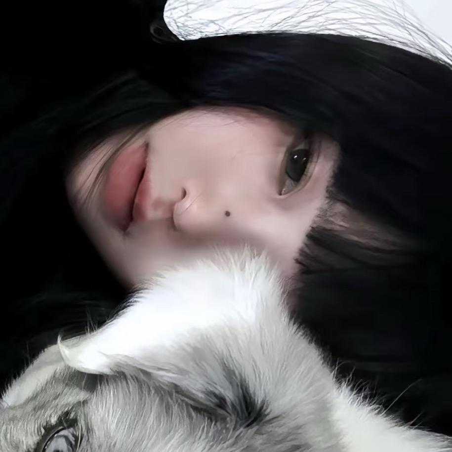 我的猫不爱我