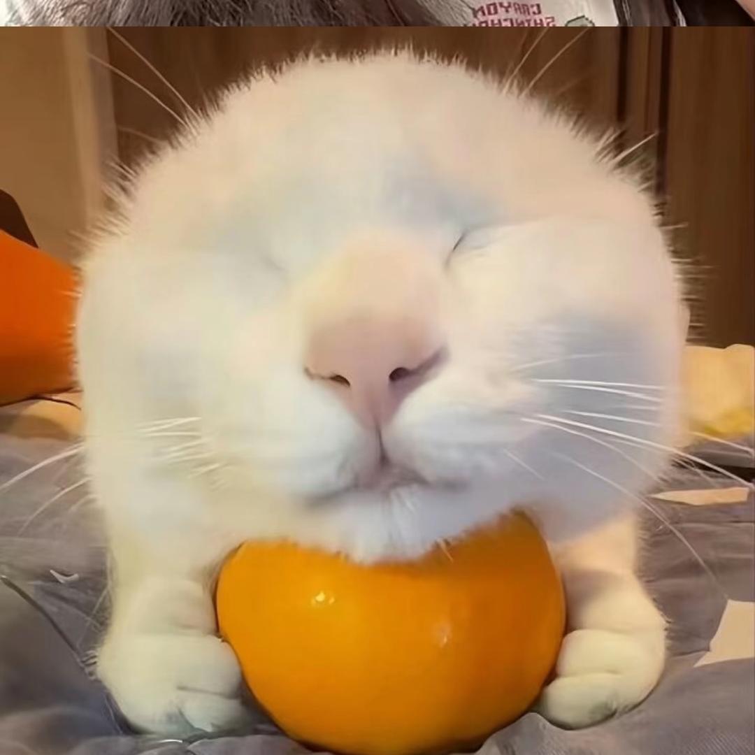 特能睡