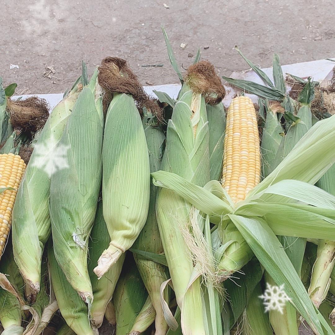 汉川农产品小陈呀🌽🌽🌽