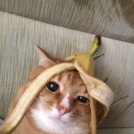 笨小孩