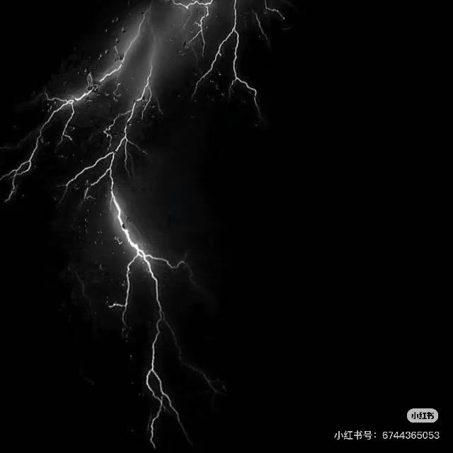 고양이（光天版）