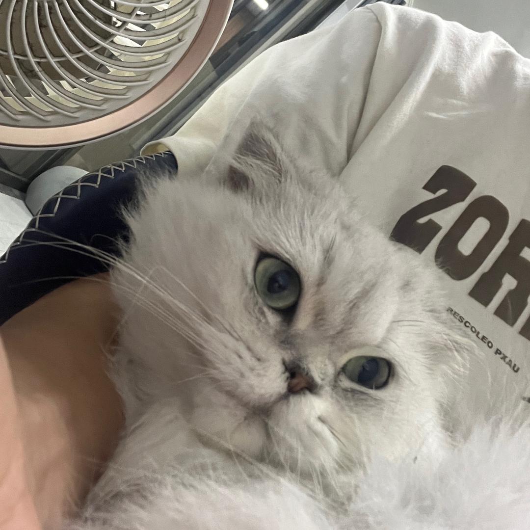 一起看海