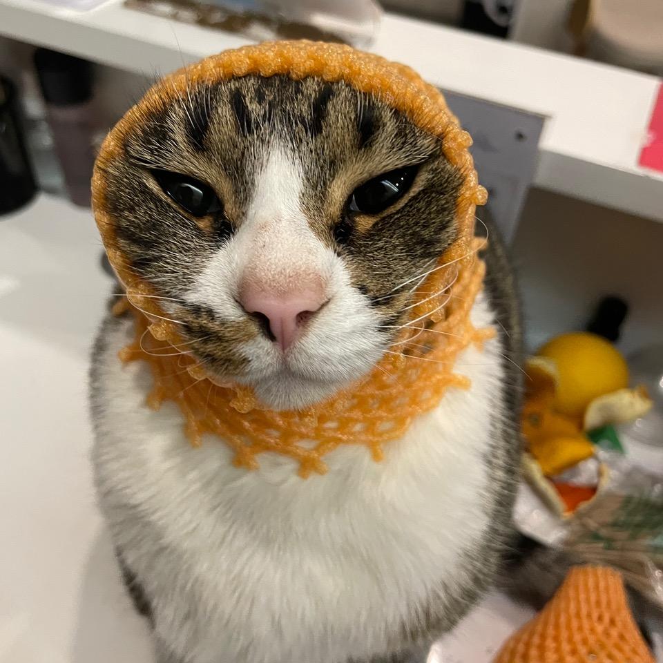 派大猩