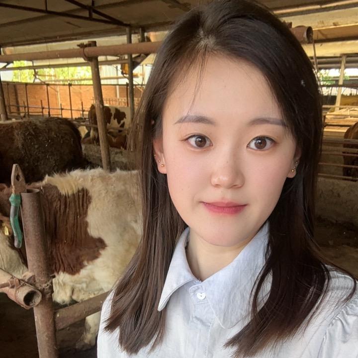 小董有牛料