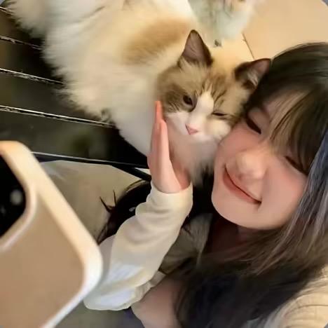 、