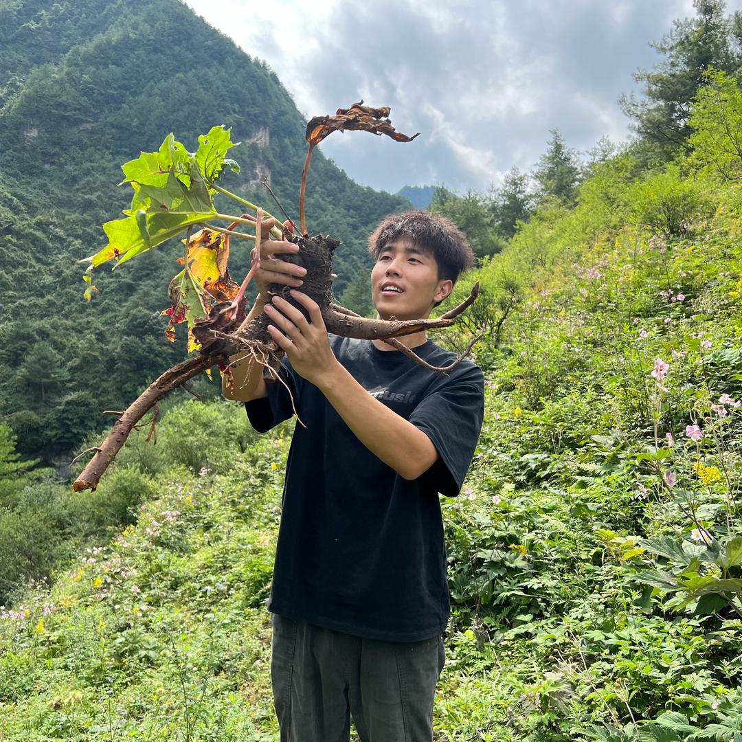 甘肃优草堂滋补