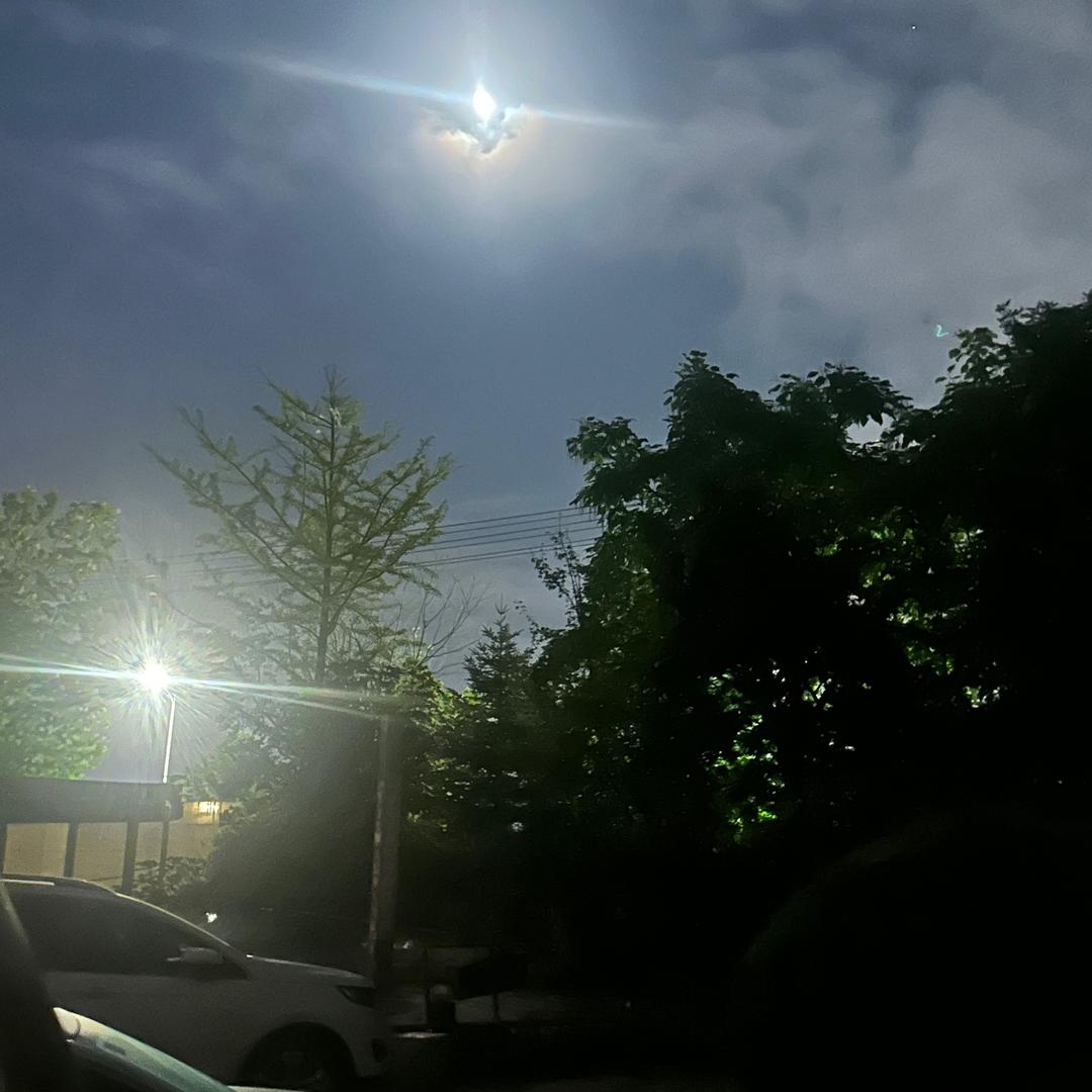 再见来不及握手