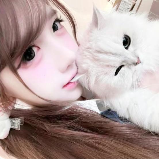 菜菜