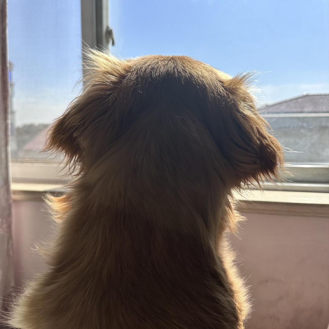 丫丫哟