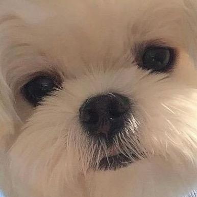 唯颖