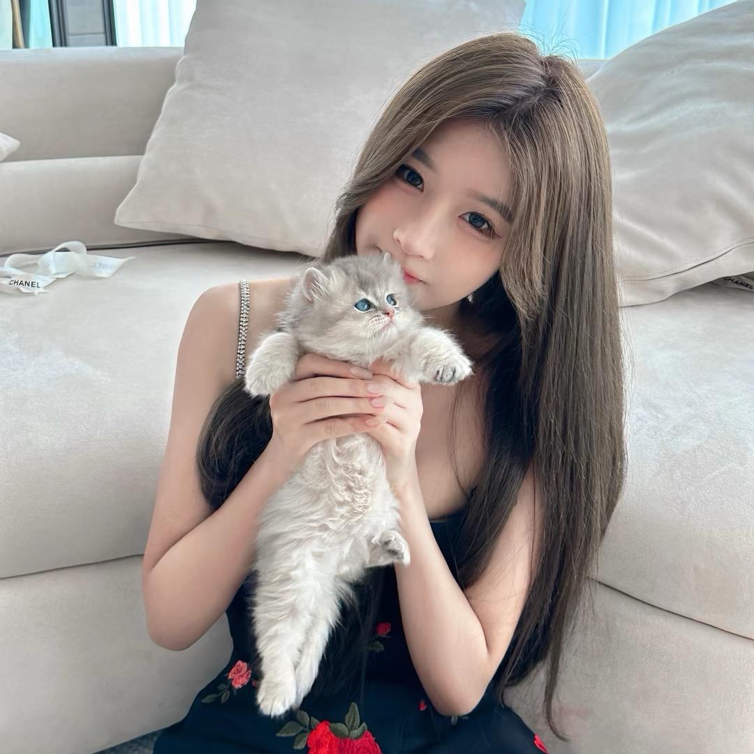 甜美小说家