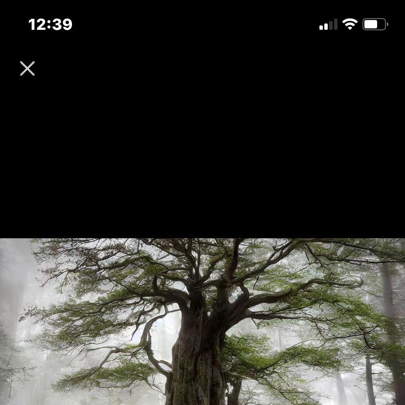 20250928721