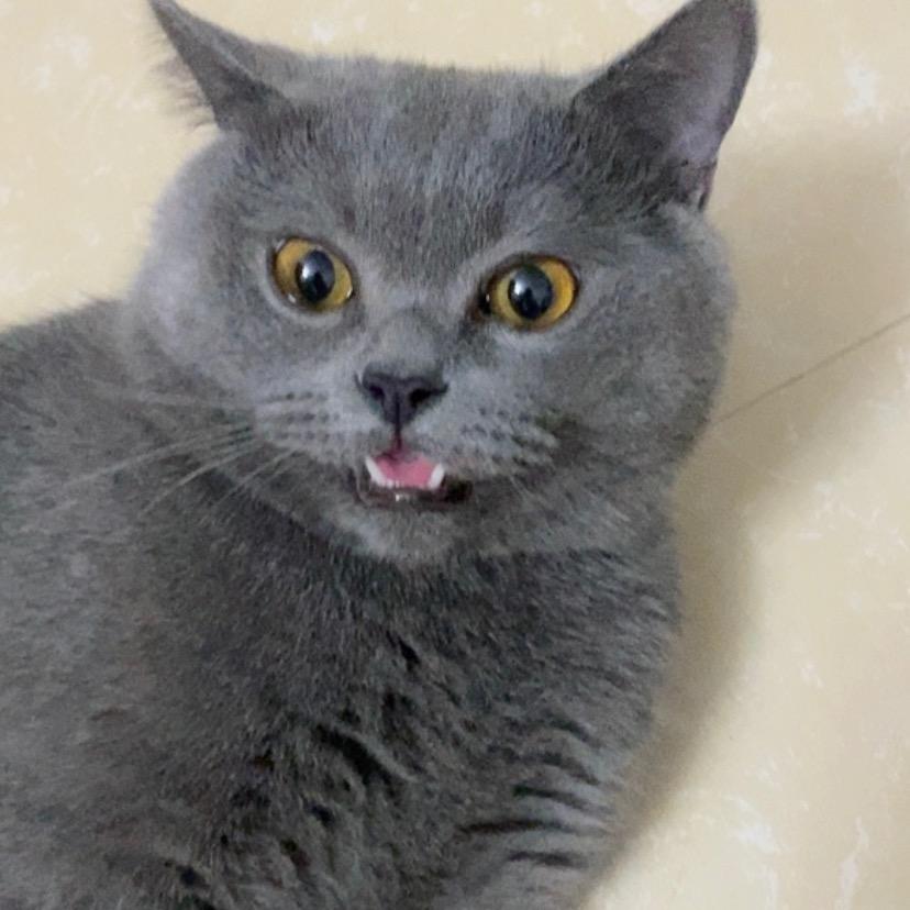 冻🐟