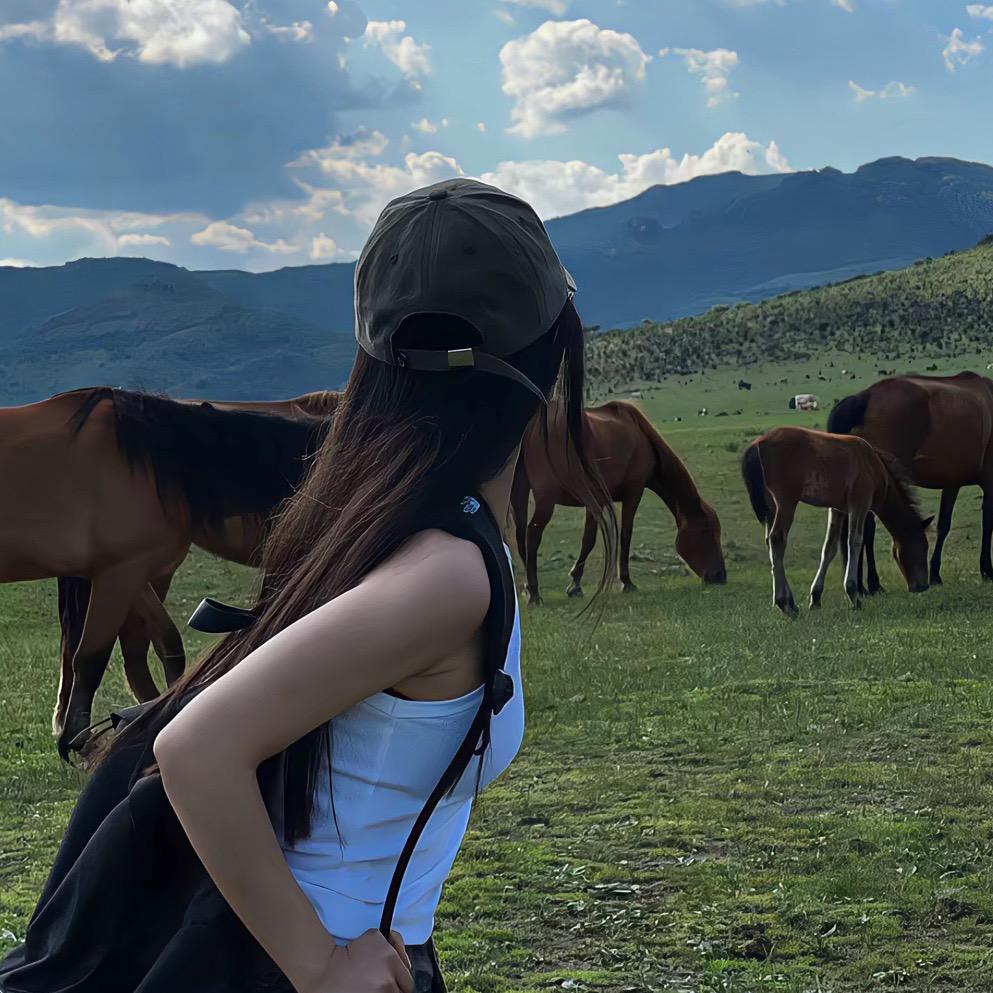 董不懂•[喜羊羊][美羊羊][懒羊羊][