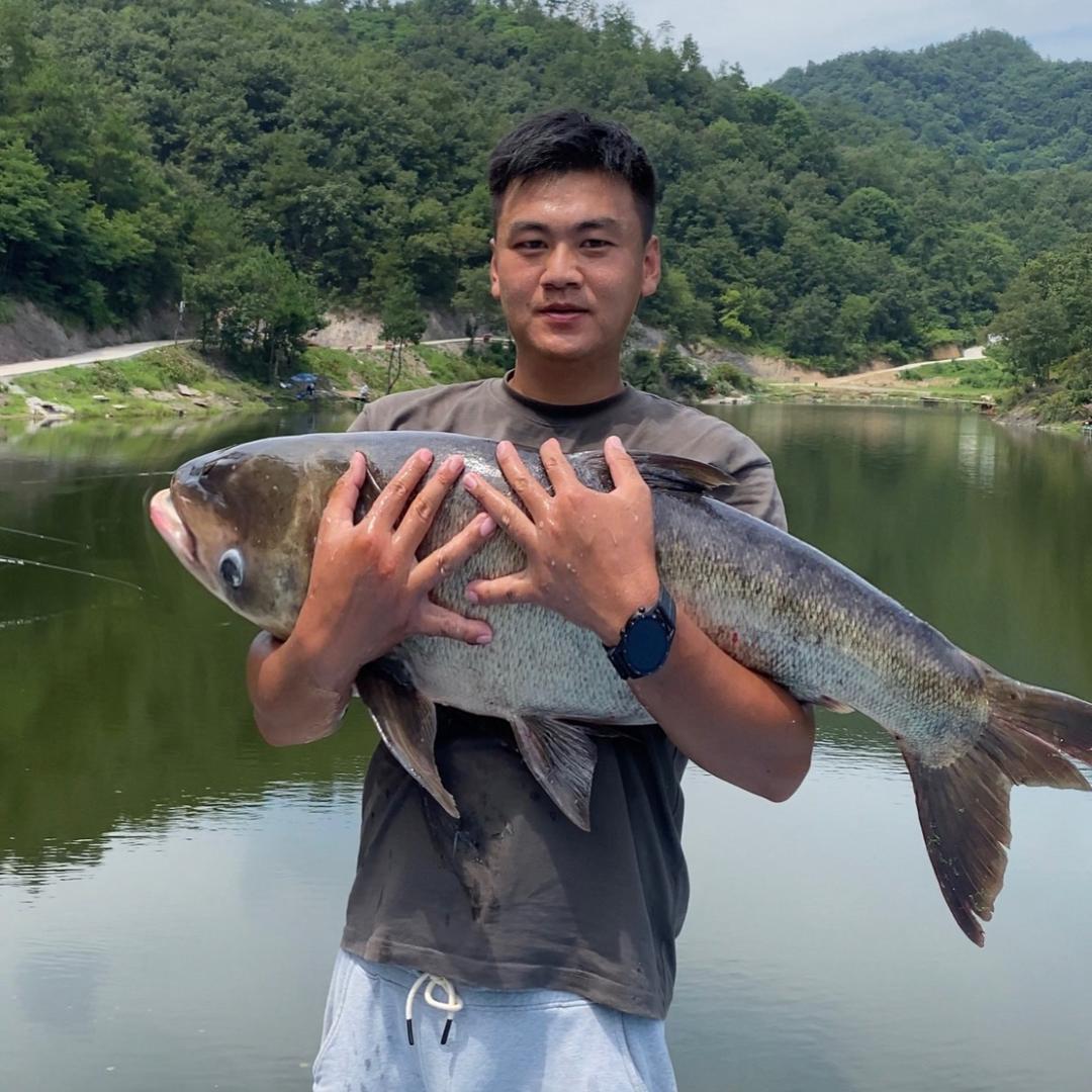 江一 实战钓鲢鳙