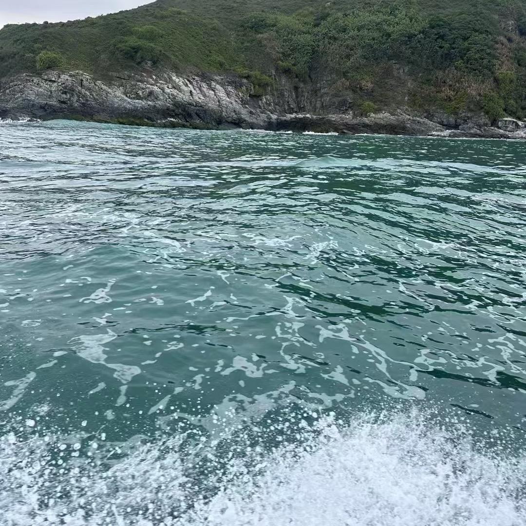 💗᭄余生ᝰᩚ随心ꦿ໌ᮨ