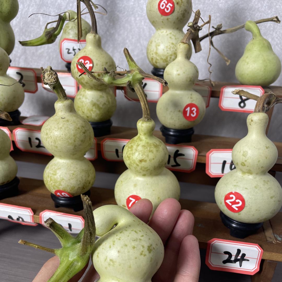 弦云阁葫芦摊