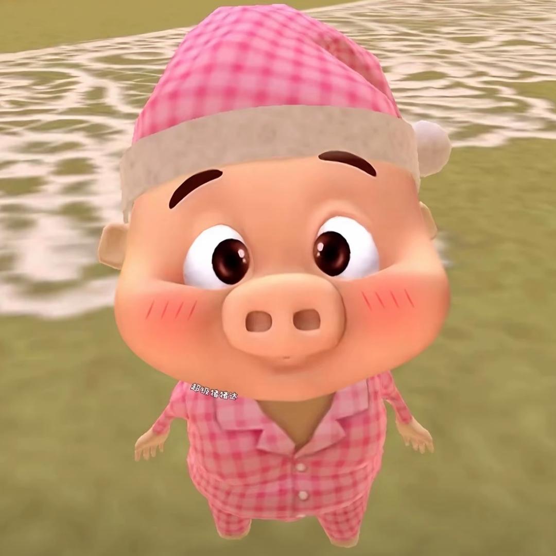 泪水打湿锅包肉