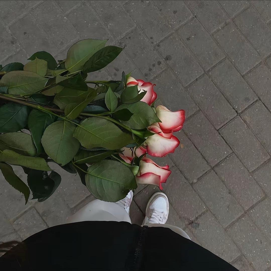 MA]