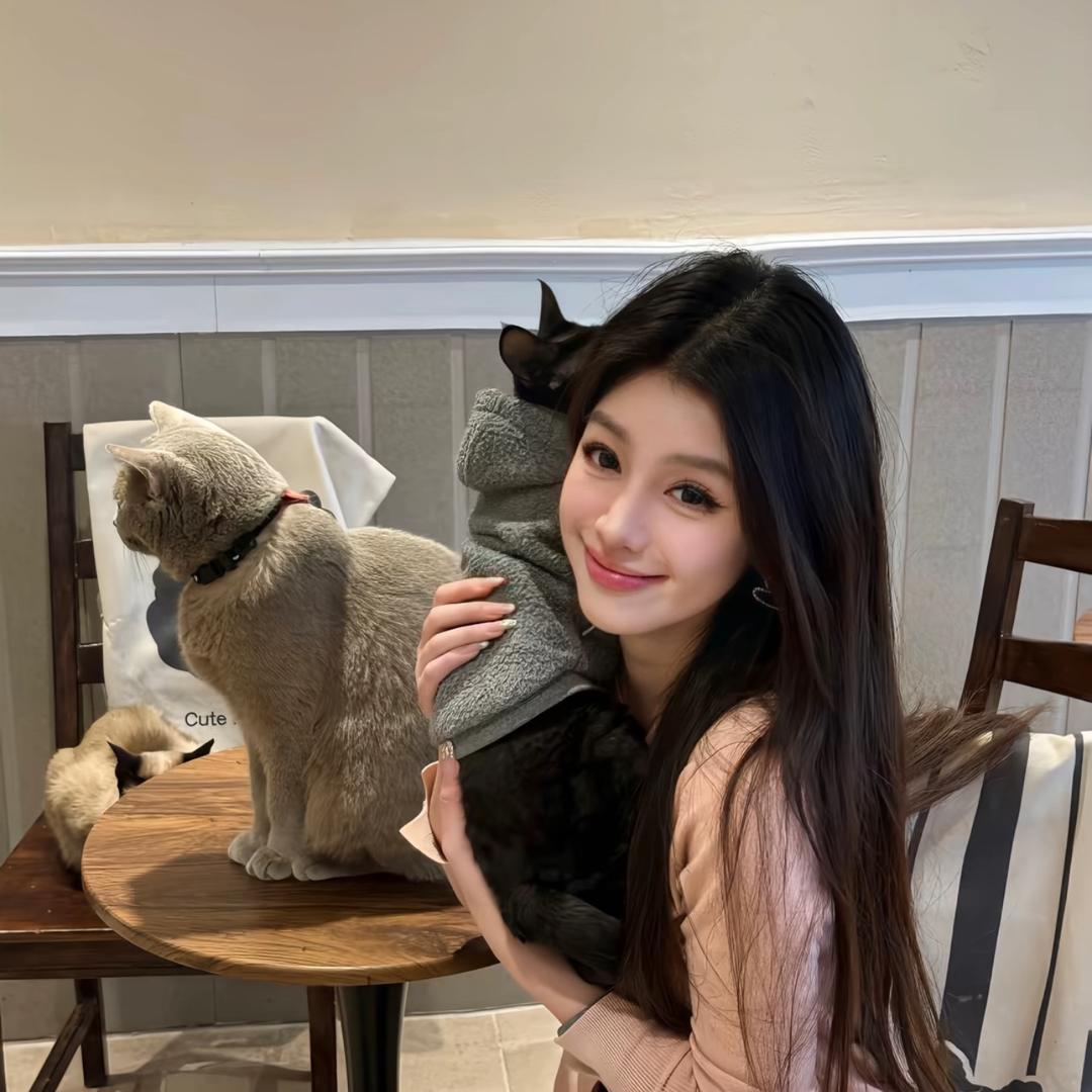 😻😻😻😻