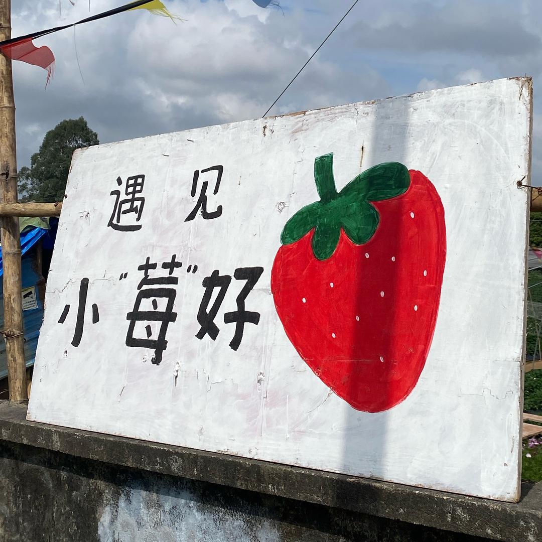 妮妮y