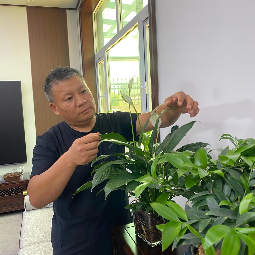 王老师教种菜