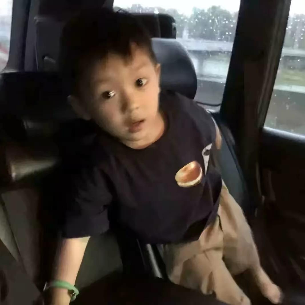 我本沉沦的心