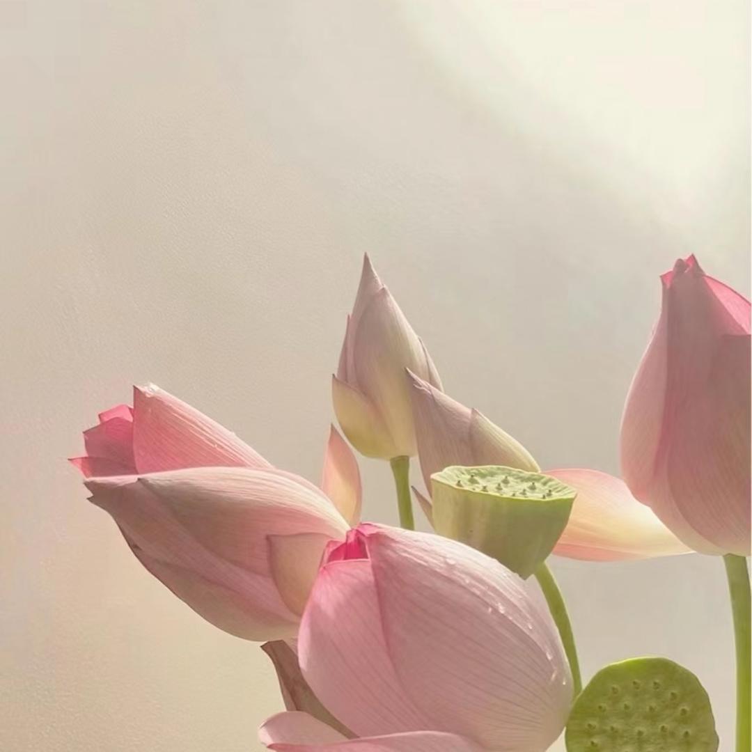 拍个赵