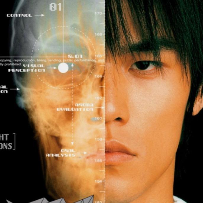 羊了个🐑（抖音版）