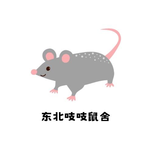 东北吱吱鼠舍