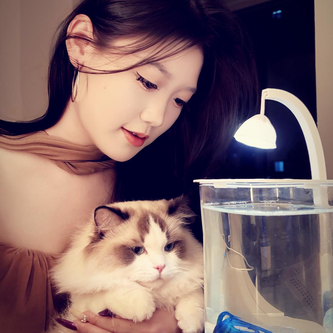 泡芙的泡