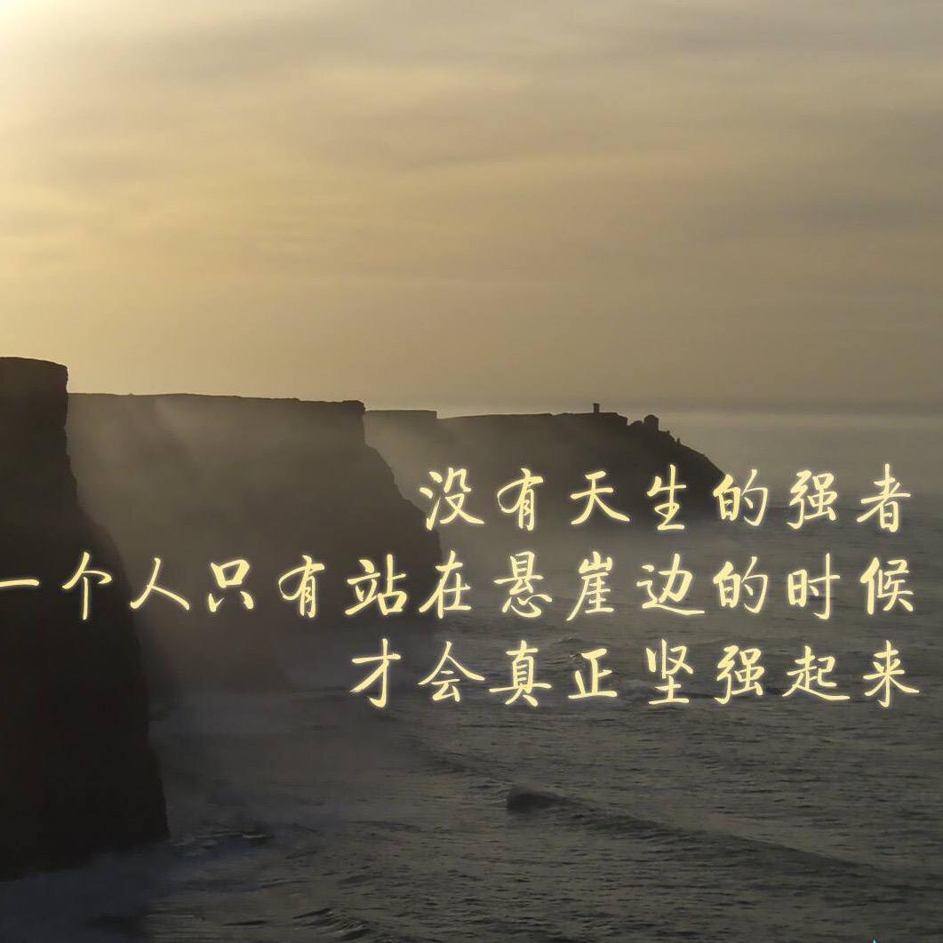 阳光温和岁月静好