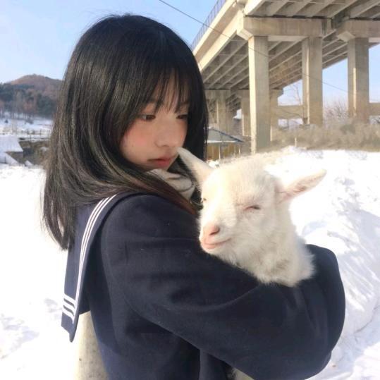 ·晚安小羊