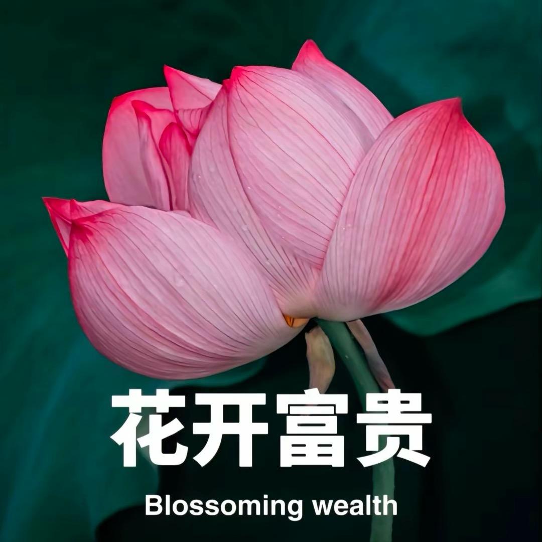 里什么里