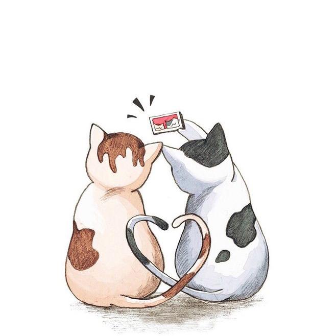 喵小七
