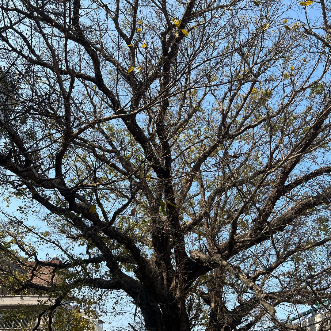 银纪打银（梧州龙湖店嘉欣）