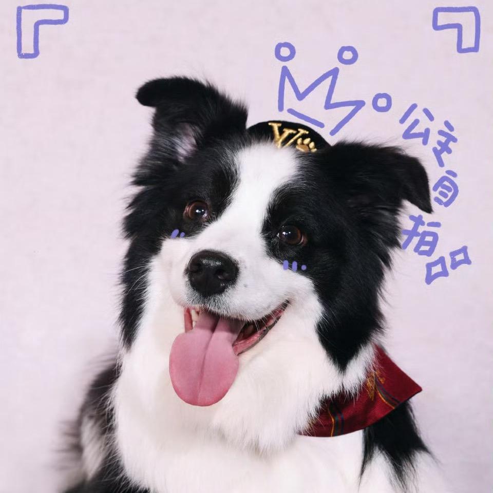 小树小树等等我