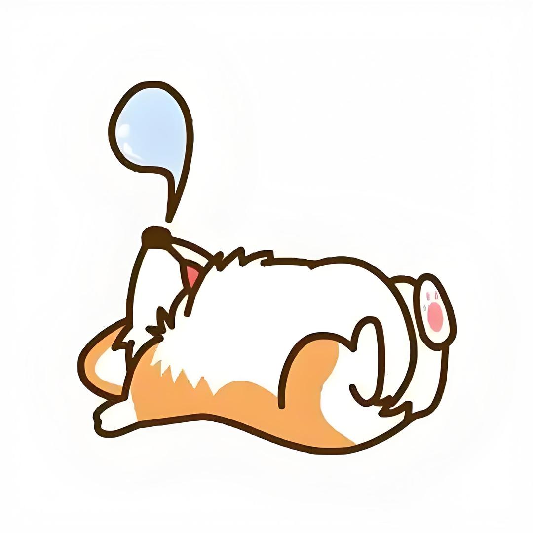 家有柯基名奇怪