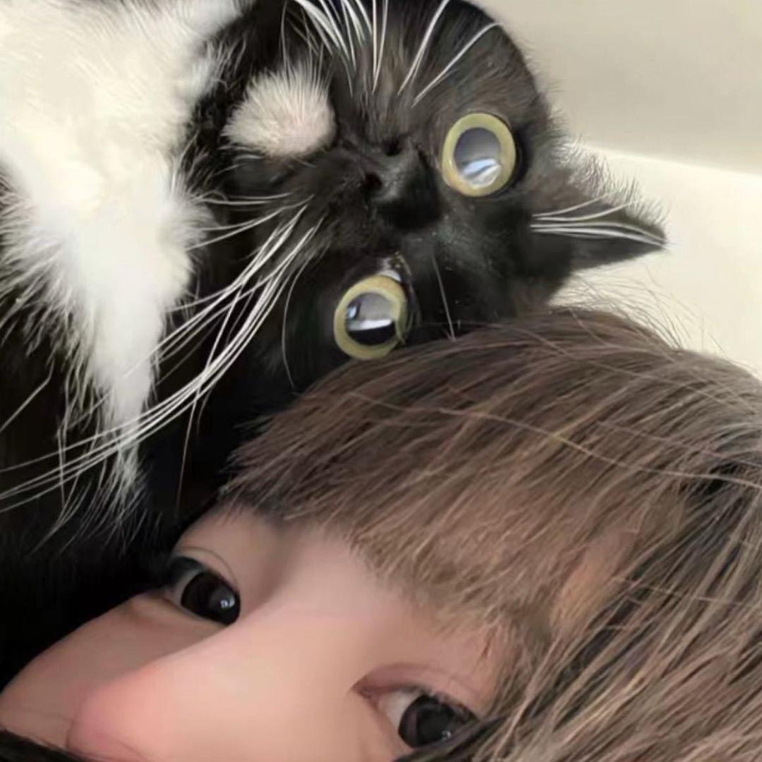 老婆🍭