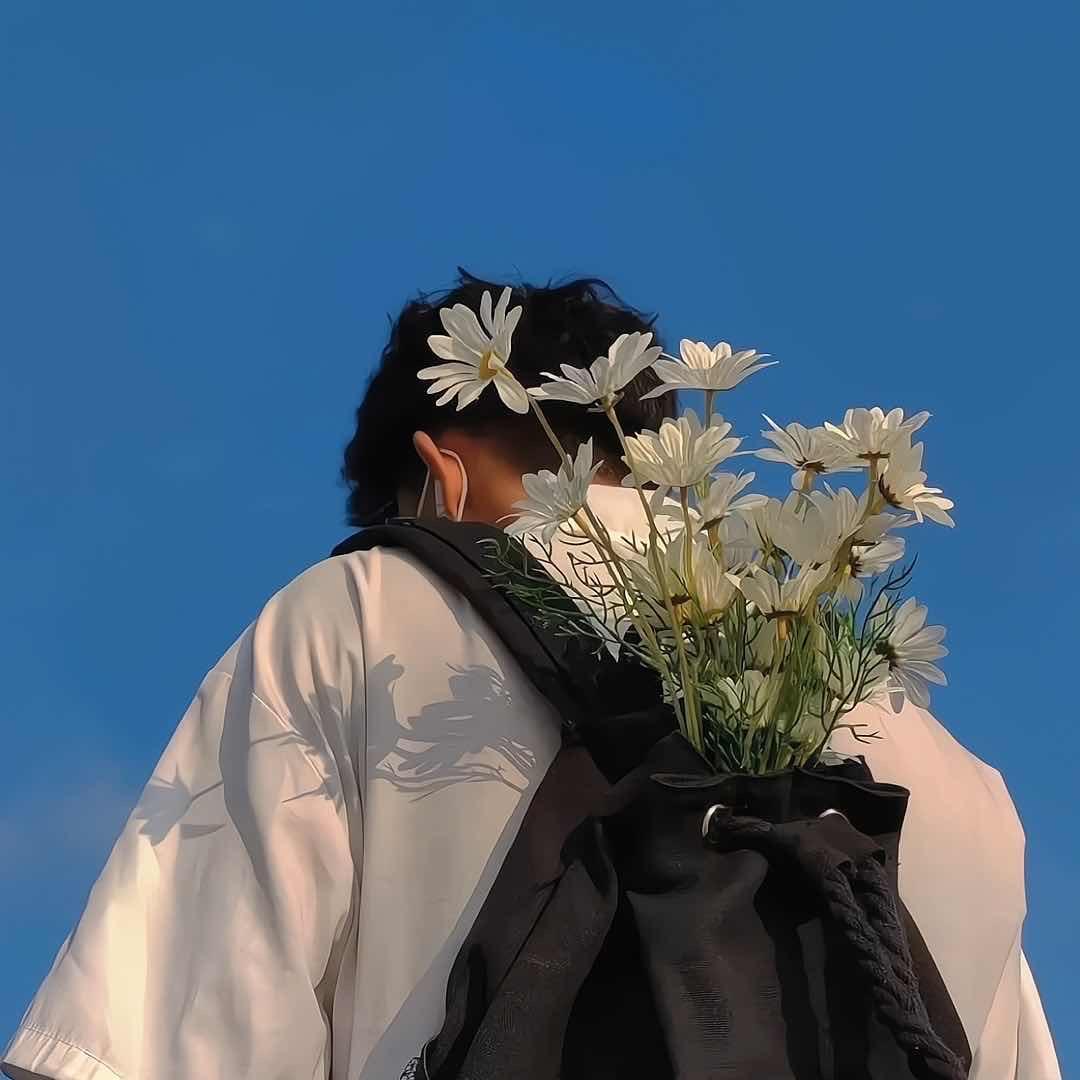 含羞🌿