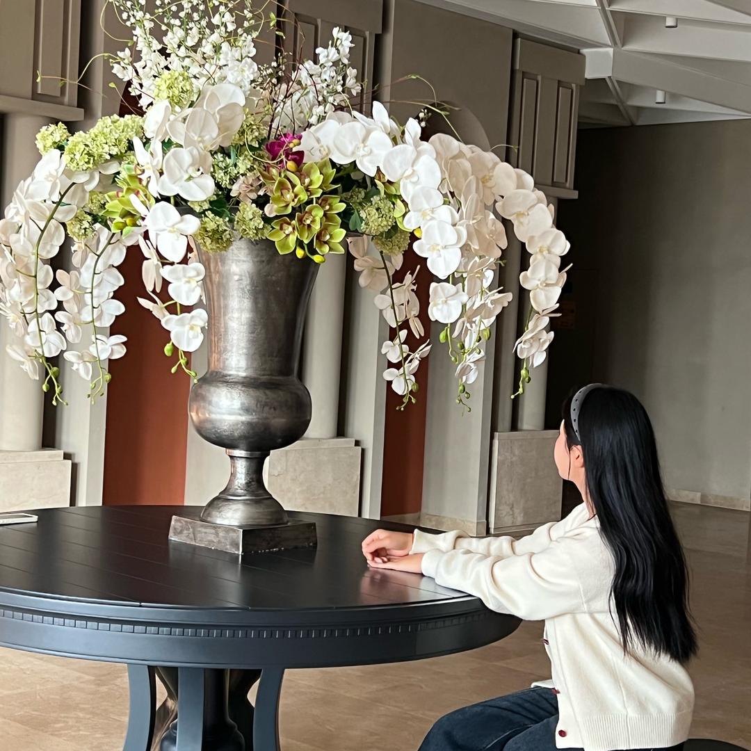 优米的旅行记✈️